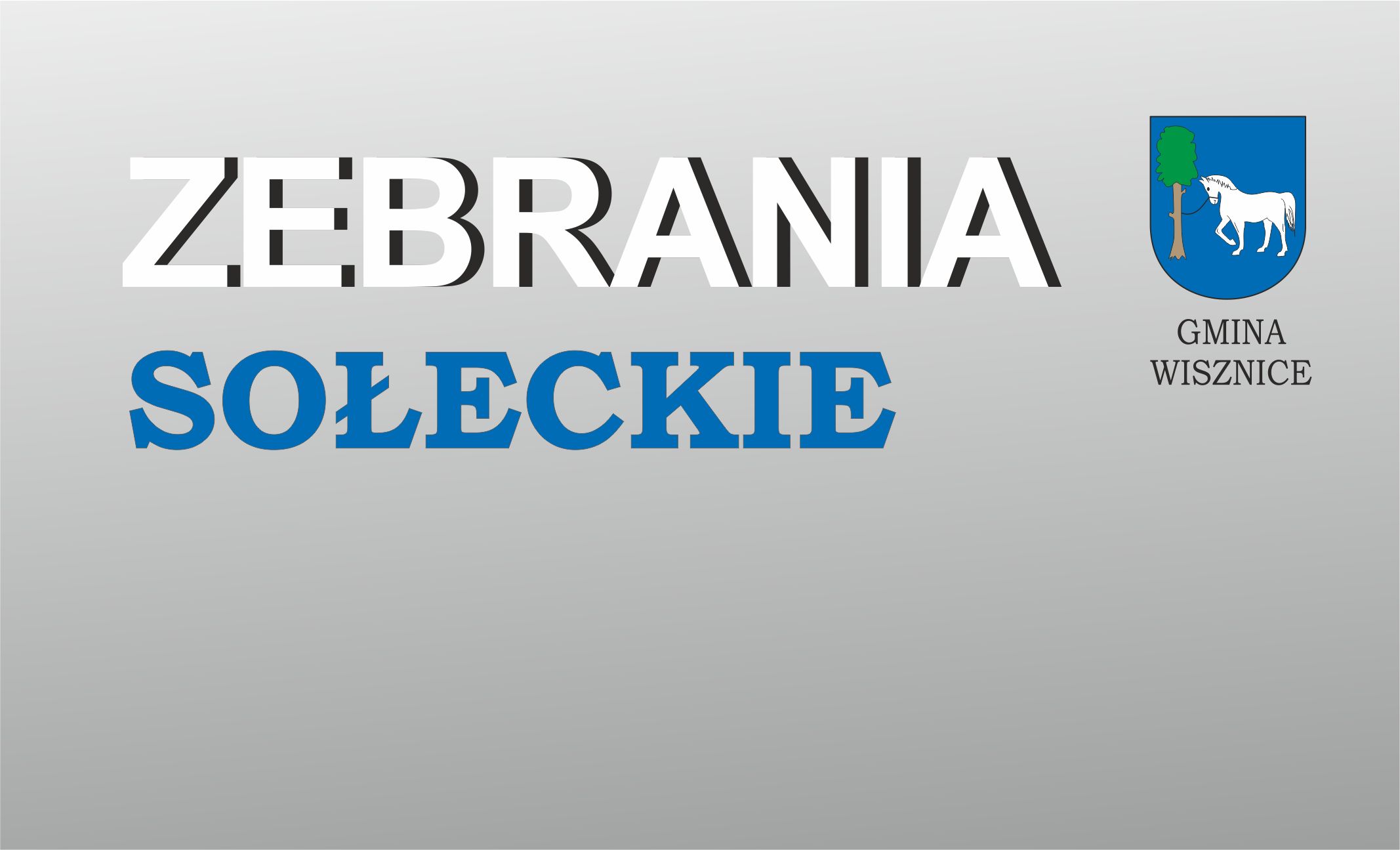 ZEBRANIE MIESZKAŃCÓW SOŁECTWA WISZNICE 